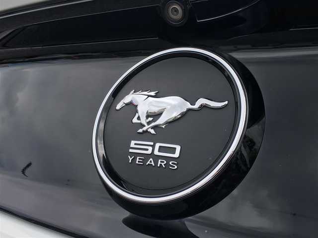 Ford Mustang 15 50years マスタング リアエンブレム Dramarcelaqueiroz Com Br