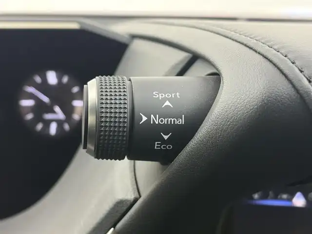 レクサス ＥＳ 300h バージョンL 愛知県 2020(令2)年 3.7万km レッドマイカクリスタルシャイン マークレビンソン　/サンルーフ　/純正１２．３インチナビ　/全方位カメラ　/デジタルインナーミラー　　/衝突軽減ブレーキ　/シートヒーター　/レザーシート　/パワーシート　/ステアヒーター　/ＢＳＭ　/ＥＴＣ２．０