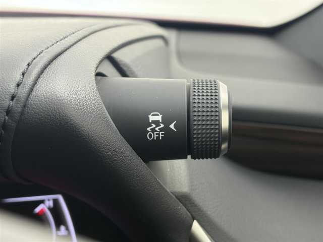 レクサス ＥＳ 300h バージョンL 愛知県 2020(令2)年 3.7万km レッドマイカクリスタルシャイン マークレビンソン　/サンルーフ　/純正１２．３インチナビ　/全方位カメラ　/デジタルインナーミラー　　/衝突軽減ブレーキ　/シートヒーター　/レザーシート　/パワーシート　/ステアヒーター　/ＢＳＭ　/ＥＴＣ２．０