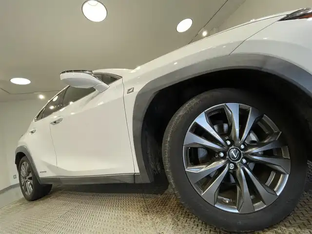 レクサス ＵＸ 250h Fスポーツ 愛知県 2020(令2)年 4.9万km ホワイトノーヴァガラスフレーク 純正１０．３インチナビ/プリクラッシュセーフティ/レーダークルーズコントロール　/レーンキープアシスト/ブラインドスポットモニター/クリアランスソナー/先行車発進告知/パワーバックドア/パドルシフト/バックカメラ/ハンドルヒーター/シートヒーター/シートクーラー/赤革シート/シートメモリー/前後ドライブレコーダー/ビルトインＥＴＣ２．０/USB入力端子/ISOFIX/純正フロアマット/純正18インチアルミホイール