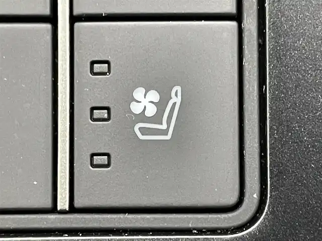 レクサス ＵＸ 250h グレイスフル エクスプローラー 岡山県 2023(令5)年 2.9万km ソニッククォーツ 純正12.3インチディスプレイオーディオプラス(ナビ付)/【AM/FM/CarPlay/フルセグ/BT】/レーダークルーズコントロール/プリクラッシュセーフティ/ブラインドスポットモニター/デジタルインナーミラー/パノラミックビューモニター/パワーバックドア/パワーシート/コーナーセンサー/アダプティブハイビーム/シートベンチレーション/ステリングヒーター/オートブレーキホールド/三眼LEDヘッドライト