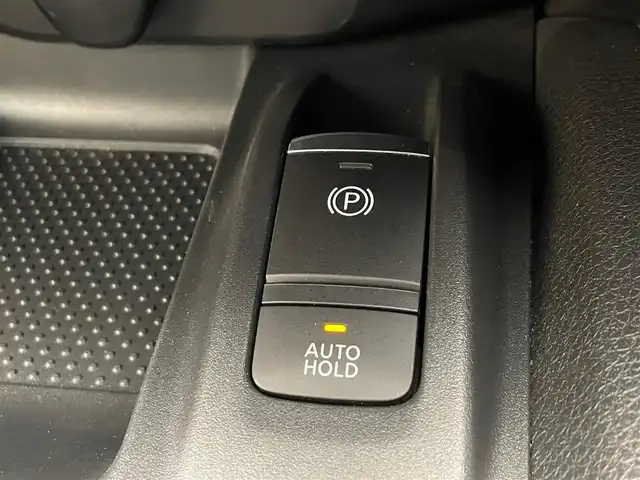 日産 エクストレイル 20Xi 岩手県 2019(平31)年 6.4万km ギャラクシーゴールド ４WD/プロパイロット/クルーズコントロール/レーンアシスト/全方位カメラ/シートヒーター/寒冷地仕様/エマージェンシーブレーキ/４X４-i/パワーバックドア/コーナーセンサー/横滑り防止装置/アイドリングストップ/純正ナビ（Bluetooth CD DVD Blu-ray　USB フルセグ）/LEDヘッドライト/オートハイビーム/ダウンヒルアシスト/オートホールドブレーキ/ステアリングスイッチ/ドライブレコーダー/ETC/インテリジェントルームミラー/純正１８インチアルミホイール