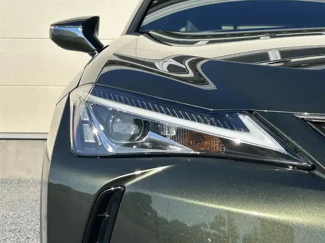 レクサス ＵＸ 200 バージョンC 茨城県 2018(平30)年 3.7万km テレーンカーキマイカM Lexsu Safety System+/純正メモリナビ/　(AM/FM/CD/DVD/Bluetooth/USB/フルセグ)/バックカメラ/ブラインドスポットモニター/前後ドライブレコーダー/追従型クルーズコントロール/ビルトインETC2.0/LEDヘッドライト/レザーシート/パワーシーター/シートヒーター/ステアリングヒーター/パワーバックドア/純正17インチアルミホイール/レーンキープアシスト/前後コーナーセンサー/オートライト