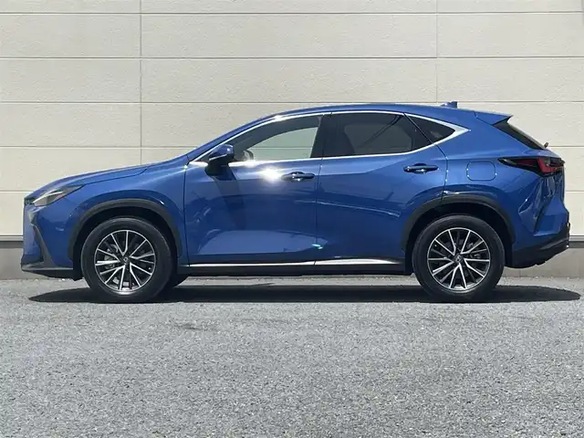 レクサス ＮＸ 350h バージョンL 茨城県 2022(令4)年 1.6万km セレスティアルブルーガラスフレーク 14インチ純正ナビ/レクサスセーフティセンス/パノラミックビューカメラ/カラーヘッドアップディスプレイ/ステアリングヒーター/BSM/レーダークルーズコントロール/デジタルインナーミラー/三眼LEDヘッドライト/パワーメモリーシートヒーター/全席シートヒーター/前席シートベンチレーション/純正ドライブレコーダー/パドルシフト/電子式パーキング/オートワイパー/オートライト