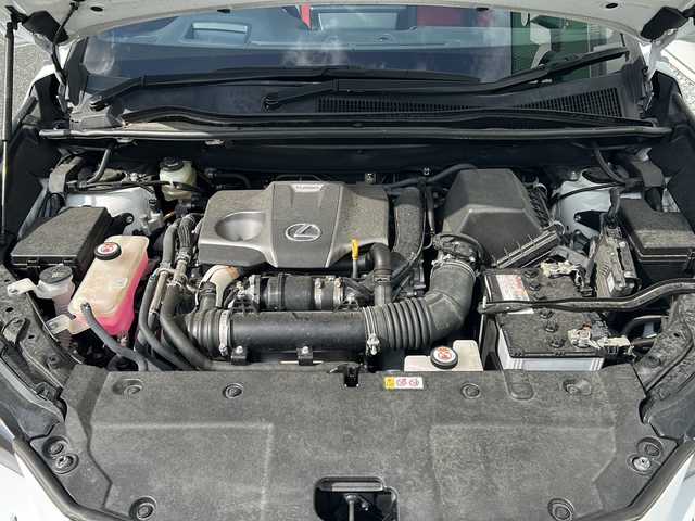 レクサス ＮＸ 300 Fスポーツ 福岡県 2020(令2)年 2万km ホワイトノーヴァガラスフレーク メーカーナビ/【AM/FM/CD/DVD/SD/USB/BT/フルセグTV】/アラウンドビューモニター/サンルーフ/3眼LEDヘッドライト/レクサスセーフティ・レーダークルーズコントロール/ブラインドスポットモニター/パワーバックドア/前席シートヒーター＆エアシート/前席パワーシート/ステアリングヒーター/パドルシフト/ステアリングスイッチ/電動格納ミラー/電動パーキングブレーキ/置くだけ充電