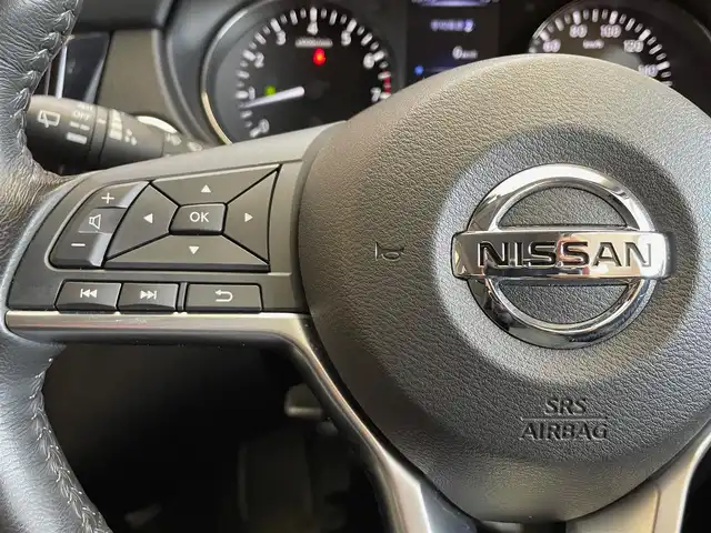 日産 エクストレイル 20Xi 岩手県 2019(令1)年 3.9万km ダークメタルグレー ４WD/ルーフレール/寒冷地仕様/ハンズフリーパワーバックドア/アラウンドビューモニター/プロパイロット/エマージェンシーブレーキ/踏み間違い衝突防止アシスト/ハイビームアシスト/前後ソナー/ヒルディセントコントロール/横滑り防止装置/オートブレーキホールド/インテリジェントルームミラー/シートヒーター/純正9インチナビ/（CD/DVD/Blu-rayDisc/フルセグ/SD/USB/Bluetooth）/ステアリングスイッチ/ドライブレコーダー/ETC/LEDヘッドライト/純正18インチアルミホイール