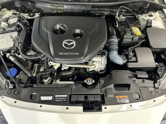 マツダ マツダ２ XD 大阪府 2019(令1)年 3.5万km アークティックホワイト 純正7型ナビ/ＡＭ/ＦＭ/Bluetooth/衝突被害軽減システム/コーナーセンサー/ETC/LEDヘッドライト/オートエアコン/横滑り防止装置/車線逸脱警報/オートライト/スマートキー/スペアキー有/プッシュスタート/純正15インチアルミホイール	/ステアリングスイッチ/電動格納ミラー/ドアバイザー