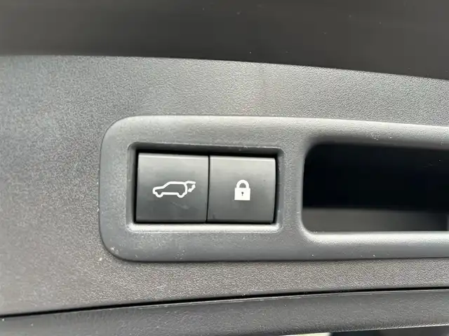 レクサス ＵＸ 250h Fスポーツ 大阪府 2019(平31)年 4.6万km グラファイトブラックガラスフレーク レクサスセーフティシステム/・アダプティクブクルーズコントロール/・プリクラッシュセーフティー/・レーントレーシングアシスト/・クリアランスソナー/・レーンディパーチャーアラート /・オートマチックハイビーム/・ロードサインアシスト/純正ナビ/・Bluetooth/フルセグTV/CD/Blu-ray/USB/　Miracast/AUX/ラジオ/主要装備/・バックカメラ/・BSM/・オートホールド/・ステアリングヒーター/・サンルーフ/・赤革シート/・パワーシート/メモリー付き/・シートヒーター/・横滑り防止装置/・レーダー探知機/・ドライブレコーダー/・ETC2.0