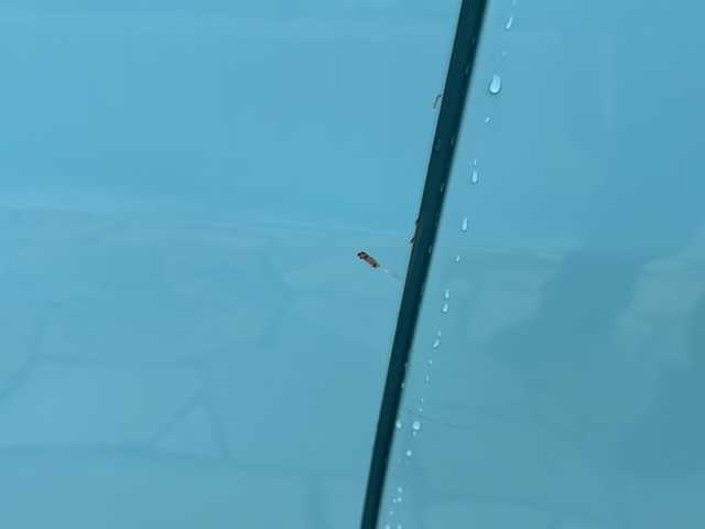 スズキ スペーシア G 静岡県 2016(平28)年 5.7万km フレンチミントPM クラリオンナビ/・ラジオ/ワンセグTV/・CD/DVD/SD/ipod/Bluetooth/VTR/主要装備/・バックカメラ　/・ＥＴＣ　/・ドライブレコーダー　/・アイドリングストップ　/・両側スライドドア　/・シートヒーター　/・プッシュスタート　/・スマートキー　/・オートエアコン　/・パワーウィンド　/・パワーステアリング　/・スペアキー/・ABS/・社外アルミホイール SIBILLA