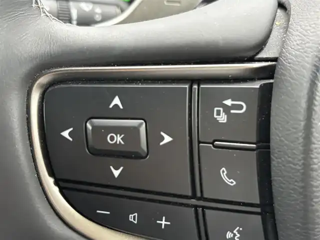 レクサス ＵＸ 250h アーバンエレガンス 福岡県 2021(令3)年 3.8万km ソニッククォーツ レクサスセーフティシステム/ドラレコ/バッグカメラ/全方位カメラ/BSM/レーンキープアシスト/コーナーセンサー/ナビ（BT、フルセグ、FM、AM）/CDチェンジャー/純正フロアマット/純正アルミホイール/オートライト/LED/クルコン/オートエアコン/パワーウィンドウ/ルーフレール/電動リアゲート/パワーシート/EVモード/スポーツモード/横滑り防止/盗難防止/エアバック