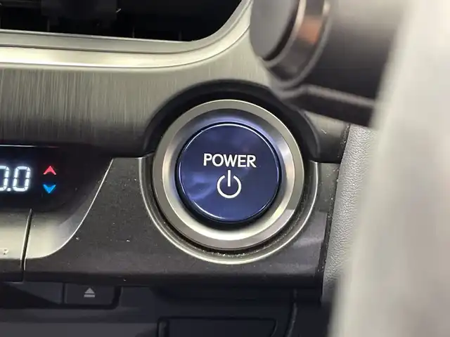 レクサス ＵＸ 250h バージョンL 栃木県 2019(平31)年 4.9万km グラファイトブラックガラスフレーク 純正ナビ/(フルセグTV・Bluetooth・CD・DVD・Blu-ray・USB・AUX)/本革シート/バックカメラ/レクサスセーフティシステム+/　・プリクラッシュセーフティ/　・レーンキープアシストシステム/　・オートクルーズコントロール/　・オートハイビーム/前後コーナーセンサー/前席パワーシート/前席シートヒーター・エアシート/パワーバックドア/LEDヘッドライト/オートライト/フォグランプ/純正フロアマット/ビルトインETC2.0/取扱説明書/保証書/スペアキー２本