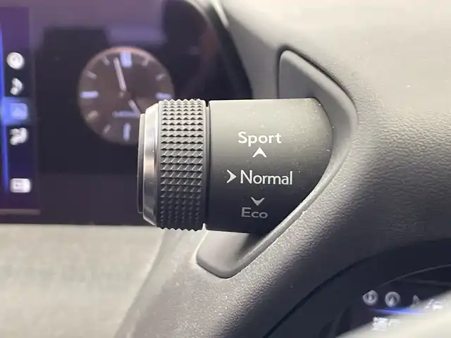 レクサス ＵＸ 250h バージョンL 栃木県 2019(平31)年 4.9万km グラファイトブラックガラスフレーク 純正ナビ/(フルセグTV・Bluetooth・CD・DVD・Blu-ray・USB・AUX)/本革シート/バックカメラ/レクサスセーフティシステム+/　・プリクラッシュセーフティ/　・レーンキープアシストシステム/　・オートクルーズコントロール/　・オートハイビーム/前後コーナーセンサー/前席パワーシート/前席シートヒーター・エアシート/パワーバックドア/LEDヘッドライト/オートライト/フォグランプ/純正フロアマット/ビルトインETC2.0/取扱説明書/保証書/スペアキー２本