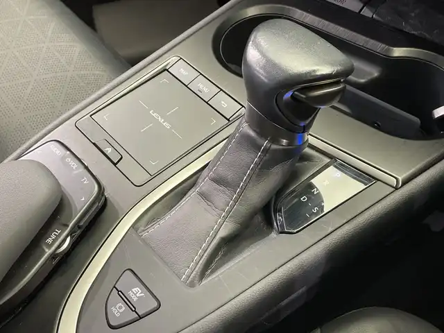 レクサス ＵＸ 250h バージョンL 栃木県 2019(平31)年 4.9万km グラファイトブラックガラスフレーク 純正ナビ/(フルセグTV・Bluetooth・CD・DVD・Blu-ray・USB・AUX)/本革シート/バックカメラ/レクサスセーフティシステム+/　・プリクラッシュセーフティ/　・レーンキープアシストシステム/　・オートクルーズコントロール/　・オートハイビーム/前後コーナーセンサー/前席パワーシート/前席シートヒーター・エアシート/パワーバックドア/LEDヘッドライト/オートライト/フォグランプ/純正フロアマット/ビルトインETC2.0/取扱説明書/保証書/スペアキー２本