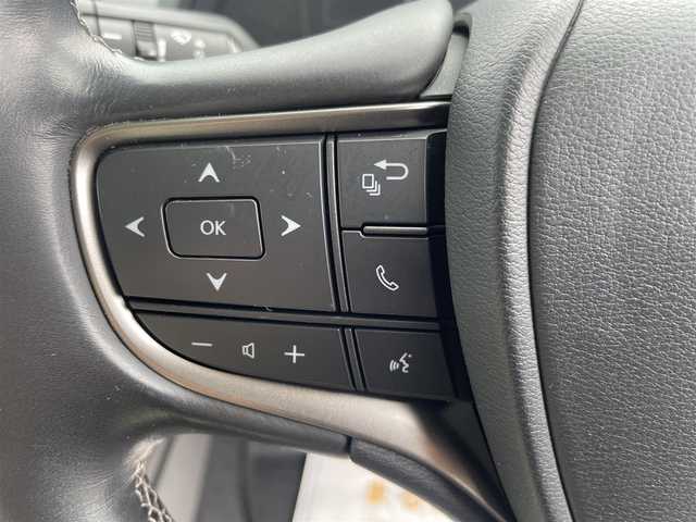 レクサス ＵＸ 250h バージョンL 神奈川県 2018(平30)年 3万km パール