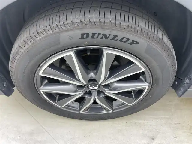 マツダ ＣＸ－５ XD Lパッケージ 岡山県 2020(令2)年 2.5万km スノーフレイクホワイトパールマイカ 純正ナビ/地デジ/Bluetooth/DVD再生/全方位モニター/黒レザーシート/シートヒーター/パワーシート/メモリシート/ETC/前後ドライブレコーダー /衝突被害軽減ブレーキ/レーダークルーズコントロール/ヘッドアップディスプレイ/ブラインドスポットモニター/純正19インチアルミホイール/純正フロアマット/パドルシフト /パワーバックドア /オートハイビーム /プッシュスタート /スマートキー