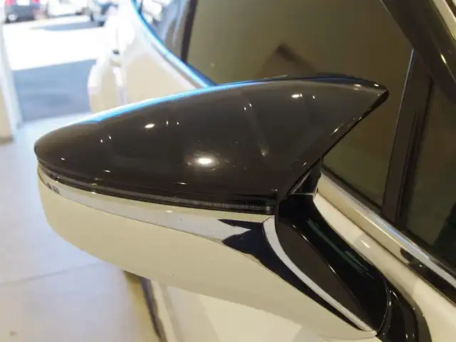 レクサス ＵＸ 200 Fスポーツ 岐阜県 2019(平31)年 4.7万km ホワイトノーヴァガラスフレーク TRDアンダーフルエアロ/TRDエアロフェンダー/TRDエアロダイナミクスミラーカバー/F SPORT専用スピンドルグリル/Lexus Safety System/プリクラッシュセーフティ/レーントレーシングアシスト/レーダークルーズコントロール/オートマチックハイビーム/LEDヘッドライト/LEDフォグライト、コーナーリングライト/ロードサインアシスト/先行車発進告知機能/アクティブサウンドコントロール/純正ナビゲーション/10.3インチワイドディスプレイ/地上デジタルTV/レクサスUXプレミアムサウンドシステム/Bluetooth/バックカメラ