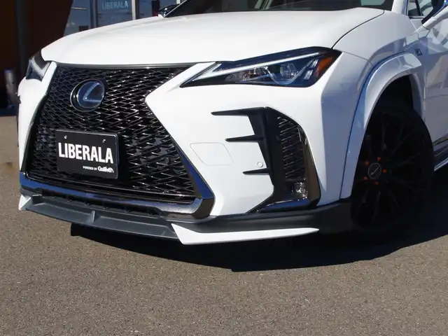 レクサス ＵＸ 200 Fスポーツ 岐阜県 2019(平31)年 4.7万km ホワイトノーヴァガラスフレーク TRDアンダーフルエアロ/TRDエアロフェンダー/TRDエアロダイナミクスミラーカバー/F SPORT専用スピンドルグリル/Lexus Safety System/プリクラッシュセーフティ/レーントレーシングアシスト/レーダークルーズコントロール/オートマチックハイビーム/LEDヘッドライト/LEDフォグライト、コーナーリングライト/ロードサインアシスト/先行車発進告知機能/アクティブサウンドコントロール/純正ナビゲーション/10.3インチワイドディスプレイ/地上デジタルTV/レクサスUXプレミアムサウンドシステム/Bluetooth/バックカメラ