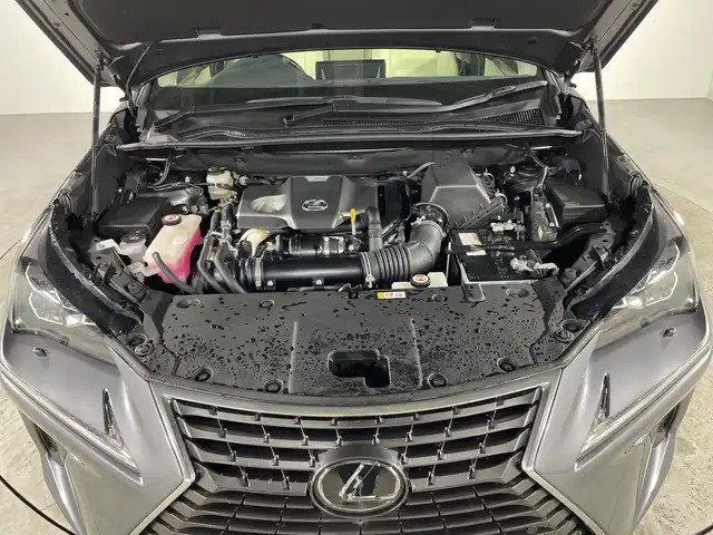 レクサス ＮＸ 300 Iパッケージ 福岡県 2020(令2)年 2.8万km マーキュリーグレーマイカ 純正ナビ/フルセグテレビ/全方位カメラ/ベージュ革シート/パワーバックドア/ETC/レーダークルーズコントロール/BSM/ステアリングヒーター/シートメモリー/カードキー有り