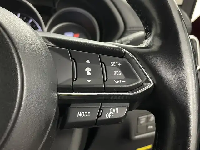 マツダ ＣＸ－５ XD プロアクティブ 埼玉県 2018(平30)年 2.6万km ソウルレッドクリスタルM 】純正ナビ　ＢＯＳＥ　１０．１フリップダウンモニター　シートヒーター　ブラインドスポットモニター　ヘッドアップディスプレイ　バックカメラ　レーダークルーズコントロール　メモリー付パワーシート　ＥＴＣ
