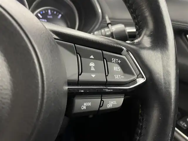 マツダ ＣＸ－８ XD プロアクティブ 宮城県 2018(平30)年 8.2万km ソウルレッドクリスタルM 純正ナビ/全周囲カメラ/ＢＯＳＥサウンド/パワーバックドア/シート／ステアリングヒーター/BSM/レーンキープアシスト/パーキングセンサー/衝突軽減ブレーキ/レーダークルーズコントロール/メモリ機能付パワーシート/ETC/ドライブレコーダー/LEDヘッドライト/純正19インチAW/禁煙車