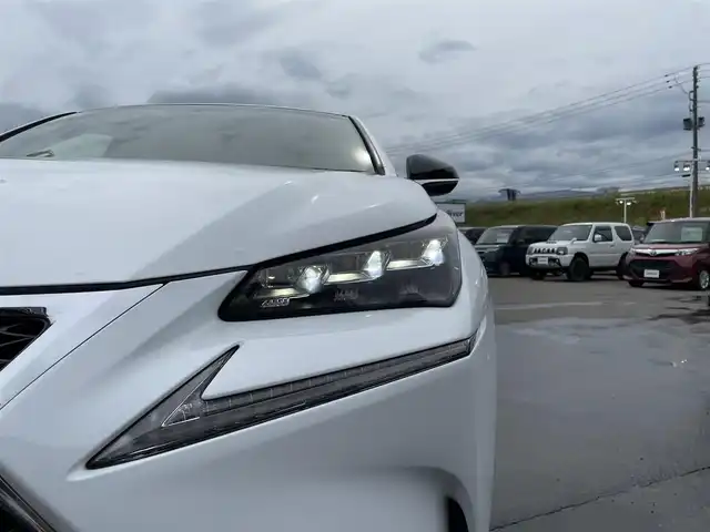 レクサス ＮＸ 300h Fスポーツ 青森県 2016(平28)年 9.3万km ホワイトノーヴァガラスフレーク ・4WD/・純正メーカーナビ/・Bluetooth/フルセグ/・USBポート/・バック/サイドカメラ/・クルーズコントロール/・本革シート/・エアシート/・シートヒーター/・オートライト/・パドルシフト/・オートブレーキホールド/・プッシュスタート/・スマートキー/・純正LEDヘッドライト/・純正18AW/・保証書・取説あり