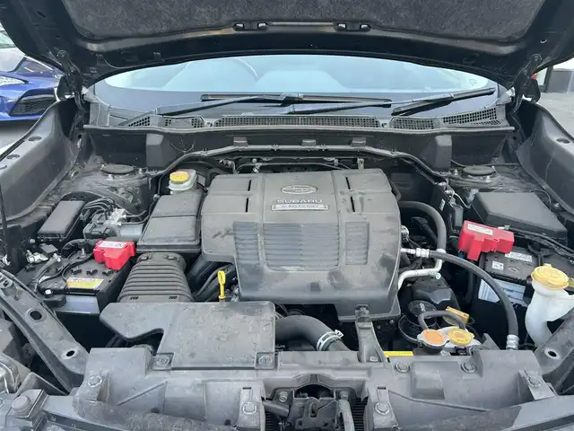 スバル フォレスター ハイブリッド アドバンス 栃木県 2019(令1)年 7.5万km クリスタルブラックシリカ アイサイト/純正8インチナビ/フルセグTV/DVD/Bluetooth/USB/HDMI/MSV/バック/サイドカメラ/ETC/ドライブレコーダー/ハーフレザーシート/パワーシート/シートヒーター/スマートキー×2/LEDヘッドライト/フォグランプ/オートハイビーム/レーダークルーズコントロール/ブラインドスポットモニター/パドルシフト/ステアリングリモコン/コーナーセンサー