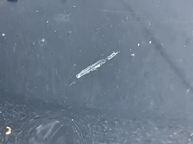 トヨタ エスクァイア ハイブリッド Gi プレミアムパッケージ ブラックテーラード 岡山県 2019(平31)年 9.2万km ブラック 登録時走行距離91610km/純正 10インチナビ NSZN-Z68T/（AM/FM/CD/DVD/TV/SD/SDREC/Bluetooth/USB）/純正 12.1インチ 後席フリップダウンモニター V12T-R68C/バックカメラ/両側パワースライドドア/ドライブレコーダー 前後/ビルトイン ETC/Toyota Safety Sense/・プリクラッシュセーフティ［PCS］/・レーンディパーチャーアラート［LDA］/・オートハイビーム［AHB］/・先行車発進告知機能/装備/・ハーフレザーシート/・快適温熱シート（D/N）/・ステアリングヒーター/・クルーズコントロール/・左右独立オートエアコン（S-FLOW：運転席集中機能付き）＋後席オートエアコン/・充電用USBジャック（前x2・2ndx2）/・オートライト/・LED ヘッドランプ＋フロントフォグランプ/・プッシュスタート/・自動防眩ルームミラー/・純正15inAW