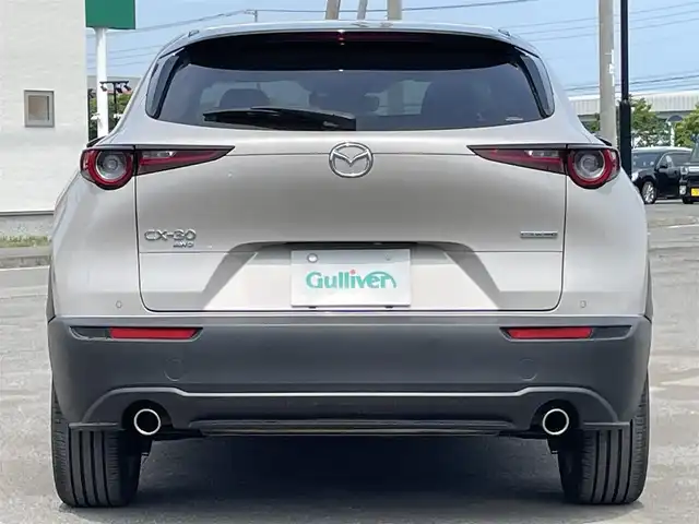 マツダ ＣＸ－３０ 20S プロアクティブツーリングセレ 道央・札幌 2022(令4)年 3.2万km プラチナクォーツメタリック ４WD/ワンオーナー/純正メーカーナビ/CD/DVD/BT/フルセグ/衝突被害軽減ブレーキ/横滑り防止装置/レーダークルーズコントロール/レーンキープアシスト/クリアランスソナー/ブラインドスポットモニター/オフロードトランクションアシスト/アラウンドビューモニター/ビルトインETC/ドライブレコーダー/アイドリングストップ/SPORTMODE/パワーバックドア/D席パワーシート/D席メモリーシート/前席シートヒーター/革巻きステアリング/ステアリングリモコン/パドルシフト/ハンドルヒーター/電動パーキング/オートブレーキホールド/MTモード付AT/プッシュスタート/スマートキー/LEDヘッドライト/オートライト/オートハイビーム/フォグランプ/電動格納ミラー/ウィンカーミラー/純正フロアマット/ドアバイザー/社外AW付冬タイヤ積込/215/60/R16/2019年/山3mm