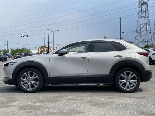 マツダ ＣＸ－３０ 20S プロアクティブツーリングセレ 道央・札幌 2022(令4)年 3.2万km プラチナクォーツメタリック ４WD/ワンオーナー/純正メーカーナビ/CD/DVD/BT/フルセグ/衝突被害軽減ブレーキ/横滑り防止装置/レーダークルーズコントロール/レーンキープアシスト/クリアランスソナー/ブラインドスポットモニター/オフロードトランクションアシスト/アラウンドビューモニター/ビルトインETC/ドライブレコーダー/アイドリングストップ/SPORTMODE/パワーバックドア/D席パワーシート/D席メモリーシート/前席シートヒーター/革巻きステアリング/ステアリングリモコン/パドルシフト/ハンドルヒーター/電動パーキング/オートブレーキホールド/MTモード付AT/プッシュスタート/スマートキー/LEDヘッドライト/オートライト/オートハイビーム/フォグランプ/電動格納ミラー/ウィンカーミラー/純正フロアマット/ドアバイザー/社外AW付冬タイヤ積込/215/60/R16/2019年/山3mm