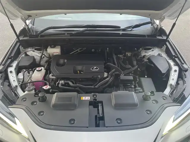 レクサス ＮＸ 350h Fスポーツ 香川県 2022(令4)年 2.6万km ホワイトノーヴァガラスフレーク レクサスセーフティ/レーンディパーチャー/ブラインドスポット/パーキングサポートブレーキ/クリアランスソナー/ワイヤレス充電/FRドライブレコーダー/ACC/ブラックレッドレザーシート/シートヒーター/シートエアコン/パワーシート/デジタルインナーミラー/ヘッドアップディスプレイ/スマートキー/パドルシフト/全方位カメラ/バックカメラ/純正ナビ/地デジ/パワーバックドア/パノラマサンルーフ