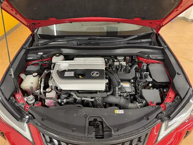 レクサス ＵＸ 250h バージョンC 群馬県 2019(令1)年 7.3万km マダーレッド Lexus Safety System ＋/純正メーカーナビ/　　CD/DVD/BT/フルセグ/MSV/USB/バックカメラ/パワーバックドア/レーダークルーズコントロール/LEDオートライト/オートハイビーム/合皮シート/前席シートヒーター/前席パワーシート（運転席メモリー機能付き）/純正17インチAW/コーナーセンサー/前後ドライブレコーダー/ブラインドスポットモニター/レーンアシスト/ステアリングヒーター/ステアリングスイッチ/オートリトラクタブルミラー/横滑り防止装置/サイド・カーテンエアバッグ/スマートキー/ビルトインETC2.0