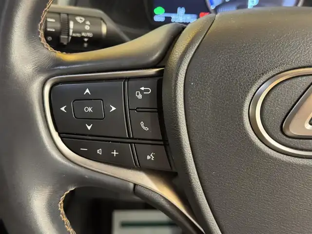 レクサス ＵＸ 250h バージョンC 群馬県 2019(令1)年 7.3万km マダーレッド Lexus Safety System ＋/純正メーカーナビ/　　CD/DVD/BT/フルセグ/MSV/USB/バックカメラ/パワーバックドア/レーダークルーズコントロール/LEDオートライト/オートハイビーム/合皮シート/前席シートヒーター/前席パワーシート（運転席メモリー機能付き）/純正17インチAW/コーナーセンサー/前後ドライブレコーダー/ブラインドスポットモニター/レーンアシスト/ステアリングヒーター/ステアリングスイッチ/オートリトラクタブルミラー/横滑り防止装置/サイド・カーテンエアバッグ/スマートキー/ビルトインETC2.0
