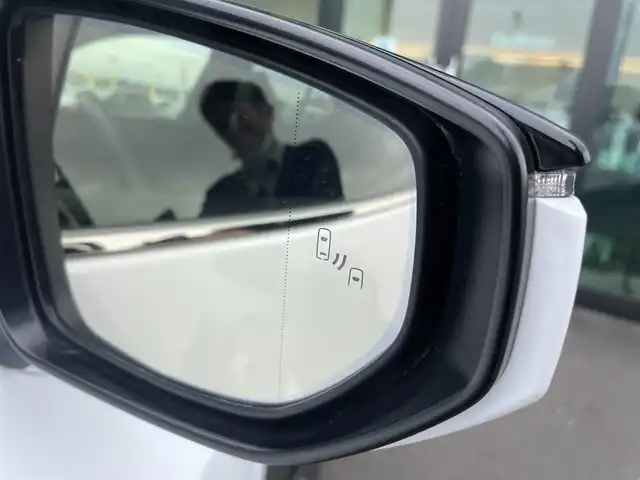 レクサス ＵＸ 300h Fスポーツ 東京都 2024(令6)年 0.9万km ブラック/ホワイトノーヴァガラスフレーク パノラマルーフ/純正ナビ/フルセグ/パノラミックビューモニター/ビルトインETC/パドルシフト/シートヒーター/ベンチレーションシート/AC100V/3眼LEDヘッドライト/オレンジキャリパー/ヘッドアップディスプレイ/レクサスセーフティシステム＋/・プリクラッシュセーフティ/・レーントレーシングアシスト/・オートマチックハイビーム/・アダプティブハイビームシステム/・レーダークルーズコントロール/・ブラインドスポットモニター/スマートキー