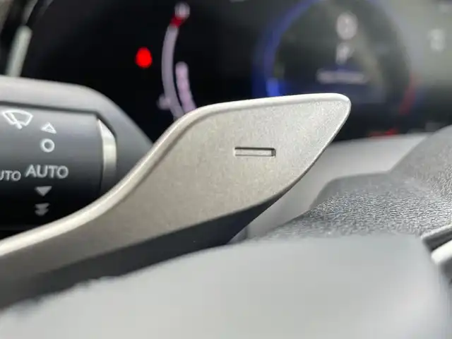 レクサス ＮＸ 250 バージョンL 岩手県 2023(令5)年 2.3万km グラファイトブラックガラスフレーク サンルーフ　純正１４インチナビ　フルセグ　Ｍｉｒａｃａｓｔ　全方位カメラ　ＵＳＢ　レーダークルーズ　電動リアゲート　ビルトインＥＴＣ２．０　純正２０ＡＷ　オートＬＥＤライト　シートヒーター