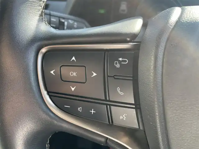 レクサス ＵＸ 250h 熊本県 2020(令2)年 5.2万km ソニックチタニウム 純正メーカーOPナビDTV/・CD/DVD/BT/USB/SD/AUX/フルセグ/全周囲カメラ/ETC/LEライト/・オートライト/・オートＨビーム/フォグ/革シート/・前席メモリ付きパワーシート/・シートヒーター/電動リアゲート/純正17インチアルミホイール/ステアリングリモコン/トヨタセーフティセンス/・ＰＣＳ/・ＢＳＭ/スマートキー/スペアキー×２/保証書・取説有り