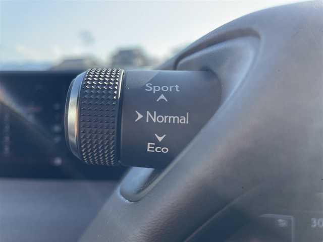 レクサス ＵＸ 250h ブラウンエディション 熊本県 2020(令2)年 5.2万km ソニックチタニウム 純正メーカーOPナビDTV/・CD/DVD/BT/USB/SD/AUX/フルセグ/全周囲カメラ/ETC/LEDライト/・オートライト/・オートＨビーム/フォグ/革シート/・前席メモリ付きパワーシート/・シートヒーター/電動リアゲート/純正17インチアルミホイール/ステアリングリモコン/トヨタセーフティセンス/・ＰＣＳ/・ＢＳＭ/スマートキー/スペアキー×２/保証書・取説有り