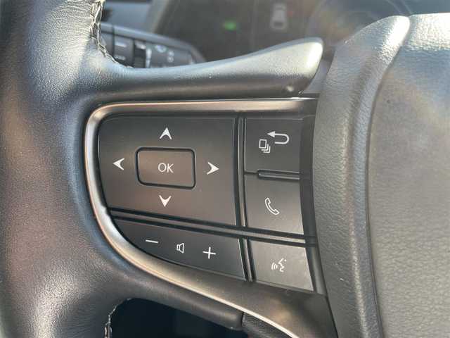 レクサス ＵＸ 250h ブラウンエディション 熊本県 2020(令2)年 5.2万km ソニックチタニウム 純正メーカーOPナビDTV/・CD/DVD/BT/USB/SD/AUX/フルセグ/全周囲カメラ/ETC/LEDライト/・オートライト/・オートＨビーム/フォグ/革シート/・前席メモリ付きパワーシート/・シートヒーター/電動リアゲート/純正17インチアルミホイール/ステアリングリモコン/トヨタセーフティセンス/・ＰＣＳ/・ＢＳＭ/スマートキー/スペアキー×２/保証書・取説有り