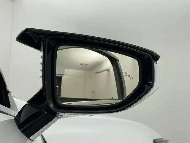 レクサス ＥＳ 300h Fスポーツ 群馬県 2021(令3)年 2.4万km ホワイトノーヴァガラスフレーク ムーンルーフ/TRDエアロ(フロント/サイド/リアアンダー)/TRDマフラー/＝＝＝＝＝/黒本革シート/シートヒーター/シートベンチレーション/パワーシート/ポジションメモリー/ステアリングヒーター/純正メーカーナビ/・CD/DVD/BD/SD（MSV）/USB/Bluetooth/Miracast/フルセグTV/パノラミックビューモニター/前後ドラレコ/パドルシフト/ビルトインETC２．０/追従クルーズコントロール/レクサスセーフティシステム/三眼LEDヘッドライト/オーライト/AHB/Fフォグ/パワートランク/R電動サンシェード/電動チルトステアリング