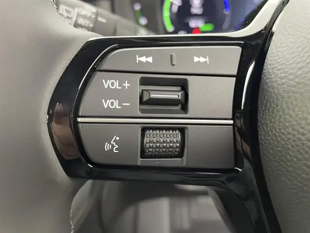 ホンダ ステップワゴン スパーダ eHEV 富山県 2025(令7)年 0.1千km クリスタルブラックパール 純正11.4型ナビ（AM/FM/DVD/BT/USB/フルセグ）/バックカメラ/純正15.6型後席モニター/両側パワースライドドア/パワーバックドア/ハーフレザーシート/D/N席シートヒーター/ブラインドスポットモニター/衝突被害軽減システム/レーダークルーズコントロール/レーンキープアシスト/コーナーセンサー/アイドリングストップ/純正アルミホイール/オートLEDライト/フォグライト/革巻きステアリング/ステアリングスイッチ/パドルシフト/スマートキー/スペアキー