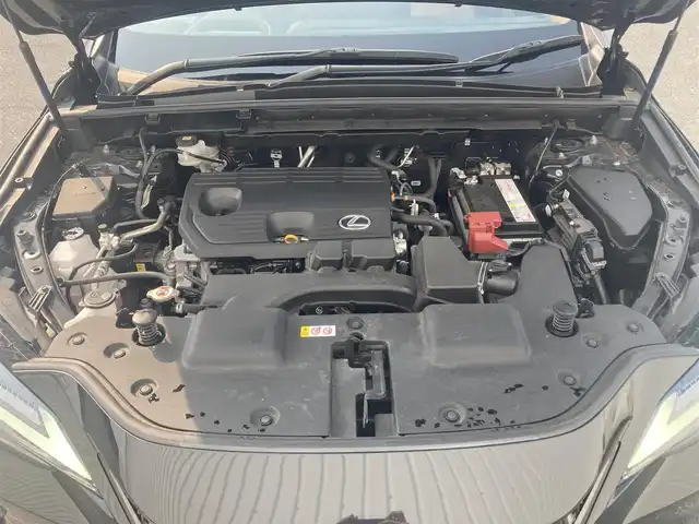 レクサス ＮＸ 250 バージョンL 滋賀県 2022(令4)年 3万km グラファイトブラックガラスフレーク ムーンルーフ/14型ディスプレイオーディオ/・Bluetooth/フルセグ/パノラミックビューモニター/革巻きステアリング/ステアリングリモコン/パドルシフト/ステアリングヒーター/前後ドラレコ/茶革シート/メモリ機能付きパワーシート/全席シートヒーター/前席シートベンチレーション/パワーバックドア/ヘッドアップディスプレイ/三眼フルLEDヘッドライト/フォグライト/オートリトラミラー/セーフティシステムプラス/・プリクラッシュセーフティ/・レーンディパーチャーアラート/・アダプティブハイビーム/・レーダークルーズコントロール/・ブラインドスポットモニター/・プロアクティブドライビングアシスト/・先行車発進告知/・発進遅れ告知/・パーキングサポートブレーキ/スマートキー・