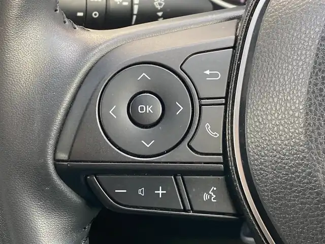 トヨタ ＲＡＶ４ アドベンチャー オフロードPKG 岐阜県 2021(令3)年 3.6万km グレーメタリック ワンオーナー/純正ディスプレイオーディオ/TRDマッドガード/ルーフキャリア/全周囲カメラ/レーダークルーズコントロール/パワーバックドア/D席パワーシート/ブラックレザーシート/ステアリングスイッチ/ETC/ドライブモードセレクト/オートマチックハイビーム/全方位ドライブレコーダー/LEDヘッドライト/スペアキー/取扱説明書/保証書/ETC/4WD