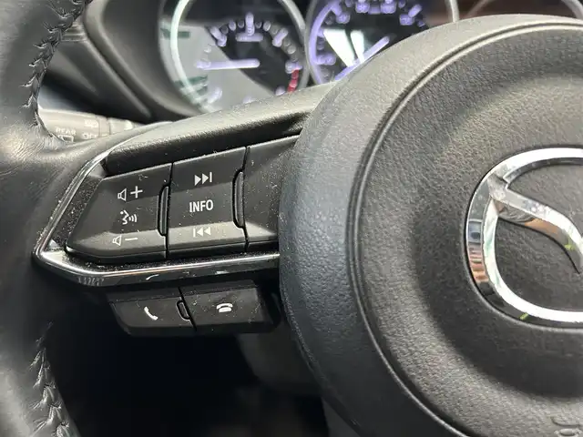 マツダ ＣＸ－５ XD Lパッケージ 鹿児島県 2017(平29)年 8.3万km マシーングレープレミアムM BOSEプレミアムサウンド/誤発進抑制制御機能（前後）/リヤパーキングセンサー/スマートブレーキサポート/全車速追従機能付マツダレーダークルーズコントロール/アダプティブLEDヘッドライト/レーンキープアシストシステム/車線逸脱警報システム/ブラインドスポットモニタリング/ドライバーアテンションアラート/交通標識認識システム/アイドリングストップ/純正SDナビ/（CD/DVD/フルセグ/Bluetooth/AUX）/バック・サイドカメラ/ETC/社外前後ドライブレコーダー【ZDR-015】/革巻きステアリング/ステアリングリモコン/ステアリングヒーター/前席シートヒーター/前席パワーシート/運転席シートメモリ/純正LEDヘッドライト/オートライト/ヘッドアップディスプレイ/電動パーキングブレーキ/ブレーキホールド/電動格納ドアミラー/純正ラバーマット/純正トノカバー/純正ドアバイザー/純正19インチアルミ