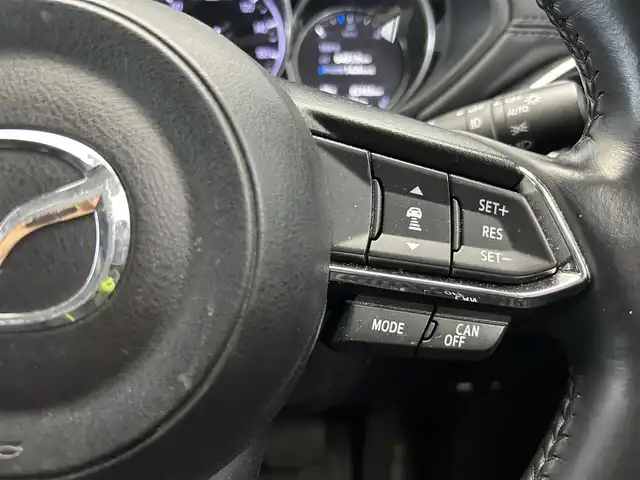 マツダ ＣＸ－５ XD Lパッケージ 鹿児島県 2017(平29)年 8.3万km マシーングレープレミアムM BOSEプレミアムサウンド/誤発進抑制制御機能（前後）/リヤパーキングセンサー/スマートブレーキサポート/全車速追従機能付マツダレーダークルーズコントロール/アダプティブLEDヘッドライト/レーンキープアシストシステム/車線逸脱警報システム/ブラインドスポットモニタリング/ドライバーアテンションアラート/交通標識認識システム/アイドリングストップ/純正SDナビ/（CD/DVD/フルセグ/Bluetooth/AUX）/バック・サイドカメラ/ETC/社外前後ドライブレコーダー【ZDR-015】/革巻きステアリング/ステアリングリモコン/ステアリングヒーター/前席シートヒーター/前席パワーシート/運転席シートメモリ/純正LEDヘッドライト/オートライト/ヘッドアップディスプレイ/電動パーキングブレーキ/ブレーキホールド/電動格納ドアミラー/純正ラバーマット/純正トノカバー/純正ドアバイザー/純正19インチアルミ