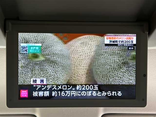 日産 エルグランド 250HWS アーバンクロム 埼玉県 2012(平24)年 12.7万km ブリリアントホワイトパール (株)IDOMが運営する【じしゃロン熊谷店】の自社ローン専用車両になりますこちらは現金またはオートローンご利用時の価格です。自社ローンご希望の方は別途その旨お申付け下さい/ワンオーナー/純正HDDナビ/　CD/DVD/ワンセグ/AM/FM/Bluetooth/AUX/アラウンドビューモニター/バックカメラ/前後コーナーセンサー/フリップダウンモニター/両側パワースライドドア/黒ハーフレザーシート/後席オットマン/後席カーテン付きレール/純正ドアバイザー/アルミペダル/ビルトインETC/HIDヘッドライト/ステアリングスイッチ/プッシュスタート/スマートキー