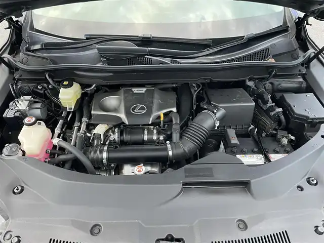 レクサス ＲＸ 300 滋賀県 2018(平30)年 3.8万km グラファイトブラックガラスフレーク 純正ナビ/(Bluetooth/フルセグ/CD/DVD)/三眼LEDヘッドライト/レクサスセーフティーセンス/・プリクラッシュセーフティ/・レーダークルーズコントロール/・レーンキープアシスト/・標識認識/・先行車発進告知/・ブラインドスポットモニター/・Autoハイビーム/アラウンドビューモニター/ハーフレザーシート/パワーシート/電動リアゲート/電動パーキング/ブレーキホールド/フロアMT付きAT/ETC2.0/USB/電動格納ミラー/シーケンシャルウインカー