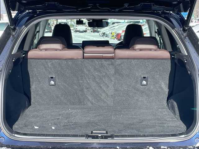 レクサス ＲＸ 300 バージョンL 道央・札幌 2020(令2)年 9.2万km ディープブルーマイカ ４WD/純正メーカーナビ/CD/DVD/BT/フルセグ/プリクラッシュセーフティ/横滑り防止装置/レーダークルーズコントロール/レーンキープアシスト/クリアランスソナー/ブラインドスポットモニター/パーキングサポートアラート/パーキングサポートブレーキ/ロードサインアシスト/ヘッドアップディスプレイ/パノラミックビューモニター/ビルトインETC2.0/ドライブレコーダー/アイドリングストップ/DRIVEMODE切替/パワーバックドア/全席パワーシート/前席メモリーシート/全席シートヒーター/前席エアシート/レザーシート/革巻きウッドコンビステアリング/ステアリングリモコン/パドルシフト/ハンドルヒーター/AC100V/電動パーキング/ブレーキホールド/MTモード付AT/センターデフロック/自動防眩ミラー/プッシュスタート/スマートキー/３眼LEDヘッドライト/オートライト/オートハイビーム/フォグランプ/電動格納ミラー/ヒーテッドドアミラー/ウィンカーミラー/純正フロアマット/純正エンジンスターター