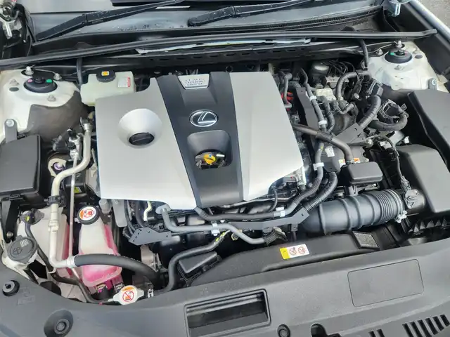 レクサス ＥＳ 300h バージョンL 山形県 2019(平31)年 9.1万km ソニッククォーツ 〇純正12、3インチナビ/〇フルセグＴＶ/〇バックカメラ/〇パノラミックビューモニター/〇マークレビンソンサウンドシステム/〇ビルトインETC2、0/〇ドライブレコーダー/〇セーフティシステムプラス/〇ブラインドスポットモニター/〇ヘッドアップシステム/〇置くだけ充電/〇ムーンルーフ/〇パワートランクリッド/〇LEDヘッドランプ/〇オートライト/〇純正17インチスタッドレスアルミタイヤ/〇本木製革巻きコンビステアリング/〇ステアリングヒーター/〇パドルシフト/〇パワーシート/〇シートヒーター/〇シートベンチレーション/〇メモリーシート/〇左右独立温度調整オートエアコン/〇スマートエントリー/〇禁煙車
