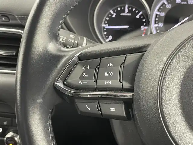 マツダ ＣＸ－８ XD プロアクティブ 埼玉県 2019(平31)年 3.3万km ソウルレッドクリスタルM 純正ナビ　３６０度ビューモニター　ＢＳＭ　ＨＵＤ　ＥＴＣ　ドライブレコーダー　レーダークルーズコントロール　メモリシート　ステアリングヒーター　シートヒーター　純正アルミホイール　オートライト　ＬＥＤ