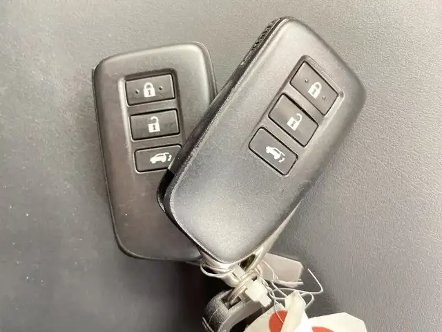 レクサス ＮＸ 300 Fスポーツ 道央・札幌 2019(平31)年 3.4万km ホワイトノーヴァガラスフレーク ・４ＷＤ/ターボ/・レクサスセーフティシステムプラス/・レーダークルーズコントロール/・純正ドライブレコーダー/・純正ナビ・フルセグＴＶ/・ＤＶＤ・ＣＤ・ＢＴ・USB・ＳＤ・Miracast/・バックカメラ/サイドカメラ/・赤Ｘ黒レザーシート/・シートヒーター/エアシート/・パワーシート/・ステアリングヒーター/・LEDヘッドライト/・オートライト/オートハイビーム/・パワーバックドア/・イオンエアコン