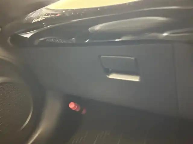 トヨタ プリウス S ツーリングセレクション 福岡県 2016(平28)年 4.9万km エモーショナルレッド 黒合皮　/純正ナビ／ＴＶ　/Ｂカメラ　/Ｂｌｕｅｔｏｏｔｈ　/クルーズコントロール　/シートヒーター　/オートライト　/純正１７インチＡＷ　/ＥＴＣ　/スマートキー